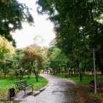 Одеса 14 вересня: очікуються зливи та сильні пориви вітру