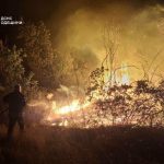 Через загоряння сухої трави на Одещині ледь не загинули жінка та двоє дітей