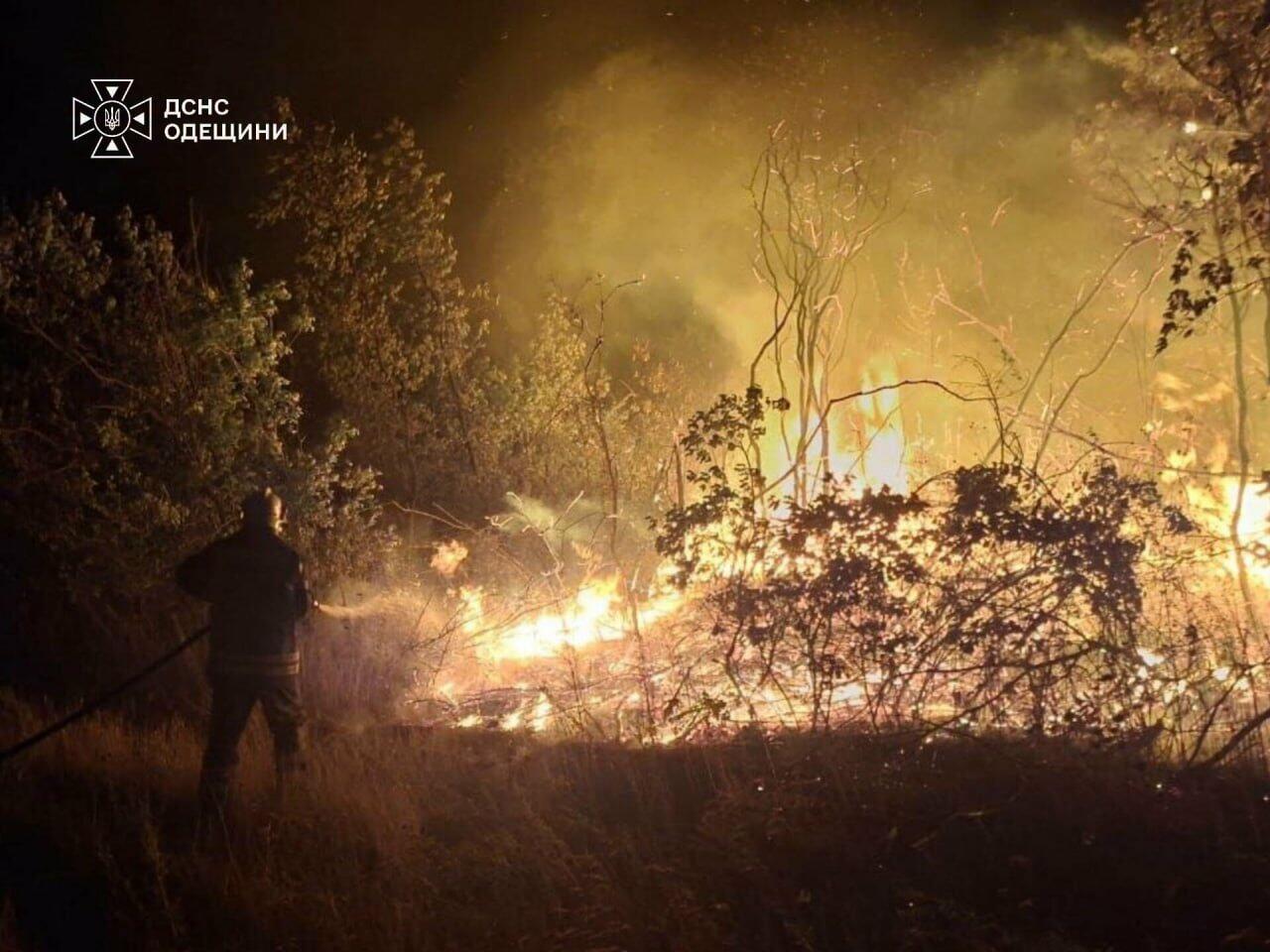 Через загоряння сухої трави на Одещині ледь не загинули жінка та двоє дітей