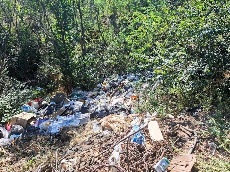 У Одеській області виявили стихійне звалище площею 230 кв. м