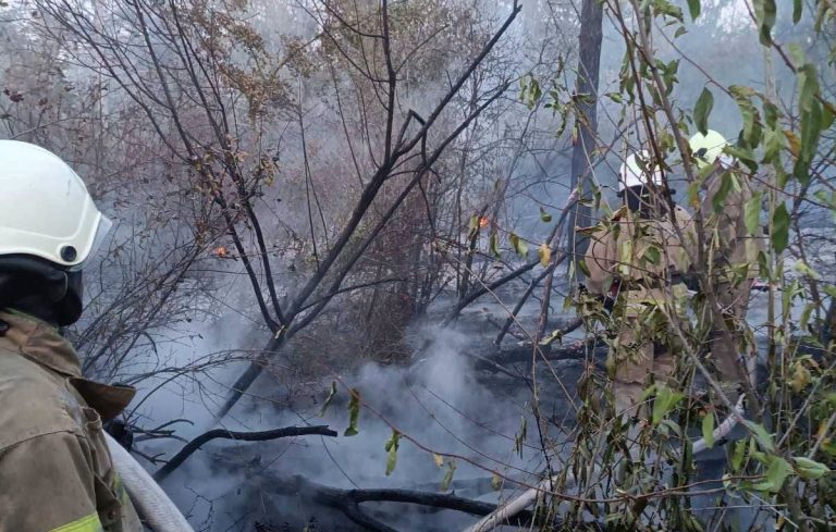 Пожежа на приватній ділянці ледь не поширилася на ліс національного парку в південній частині Одещини