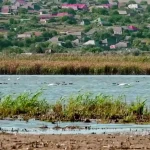 Найнижчий рівень Дуная спричинив кризу: Болград залишився без питної води