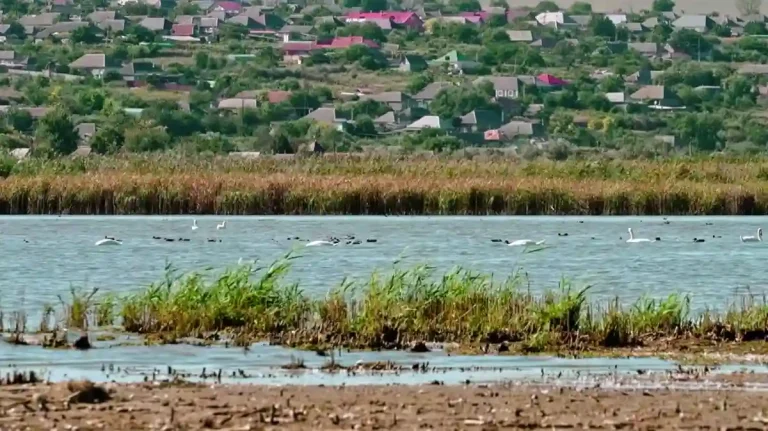 Найнижчий рівень Дуная спричинив кризу: Болград залишився без питної води