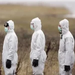 Небезпечна хвороба поширюється в Румунії — Ізмаїльський район опинився під загрозою