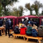 Запрошення для виноробів і крафтових виробників півдня Одещини на Міжнародний Bolgrad Wine Fest 2026