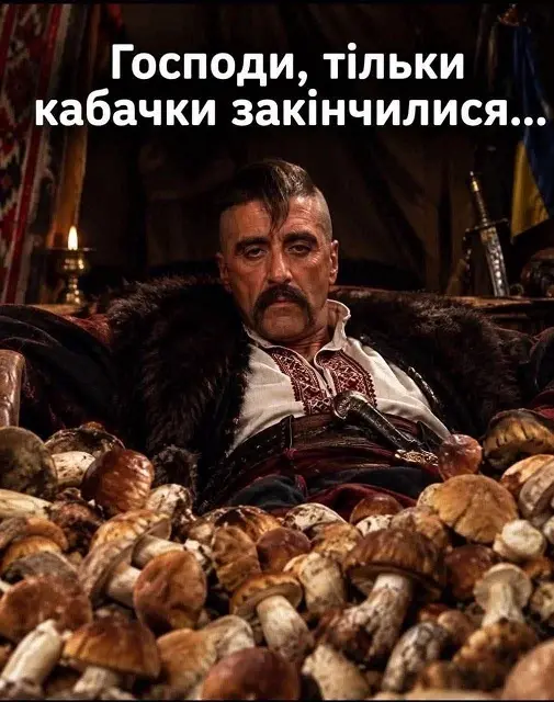 Іронічний мем з козаком на купі білих грибів