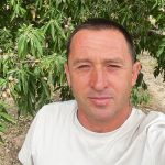 Селекціонер Володимир Балабан поділився, чому мигдаль у Бессарабії розвивається успішніше, ніж в Іспанії, і як це приносить вигоду бізнесу
