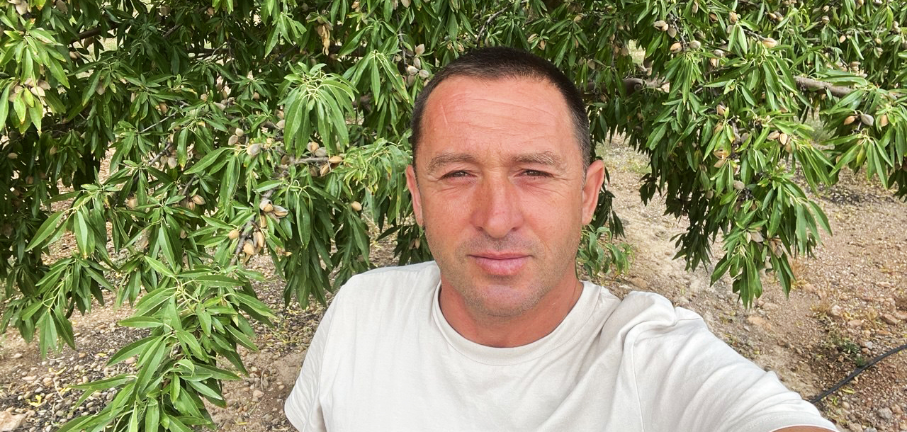 Селекціонер Володимир Балабан поділився, чому мигдаль у Бессарабії розвивається успішніше, ніж в Іспанії, і як це приносить вигоду бізнесу
