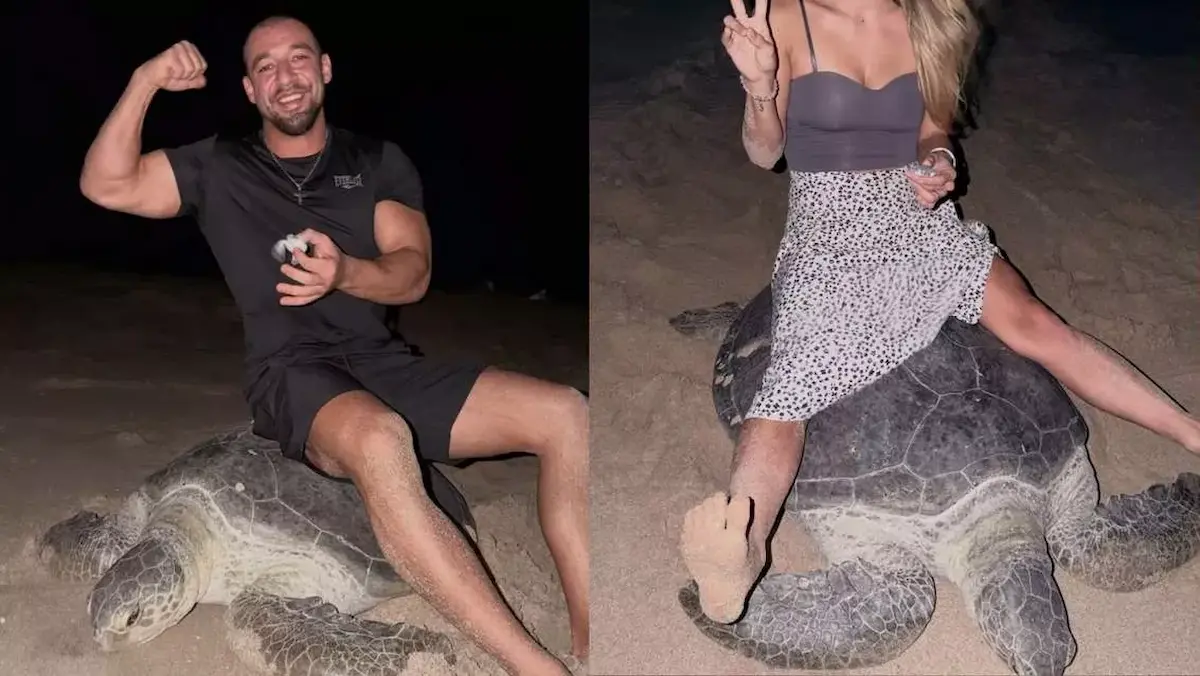 В Омані винесли вирок одеським туристам, які сіли на черепаху заради фото