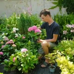 Сімейний розсадник з Одещини: як лаванда звідси завойовує всю Україну