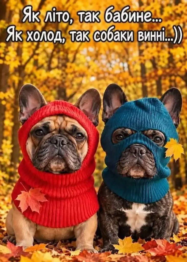холод