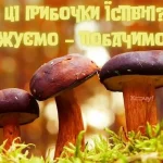 Одеситський гумор: як правильно смакувати гриби і чому варто купувати смартфон із якісною камерою