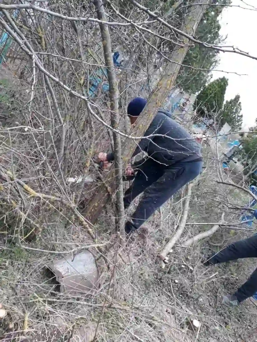 Санітарна чистка у селі Вознесенка разом з заготівлею хмиза для розпалу