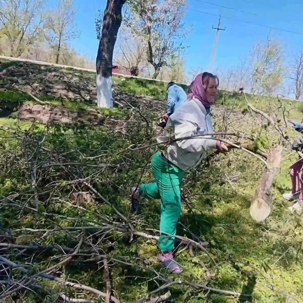У селі Іванчанка наводять лад і при цьому заготовляють хмиз