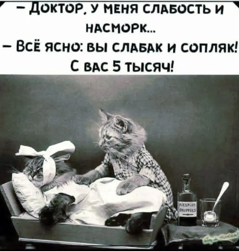 меми, гумор
