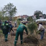 В прибережному парку Одеси рідні бійців, які загинули, заклали 22 дерева