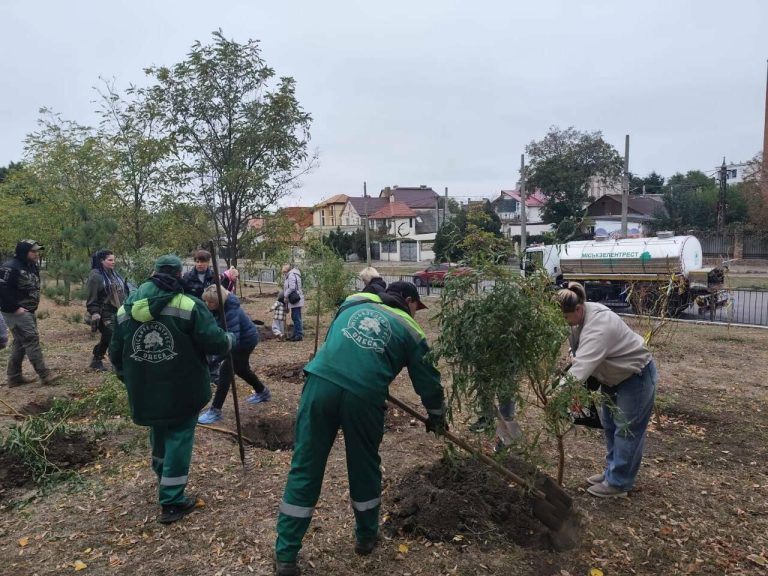 В прибережному парку Одеси рідні бійців, які загинули, заклали 22 дерева