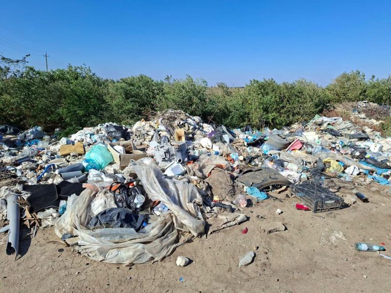 В Одеській області виявили несанкціоноване скупчення відходів площею 528 м²