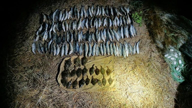 В Одеській області порушник правил рибальства виловив водні біоресурси на суму понад 3 млн грн — деталі