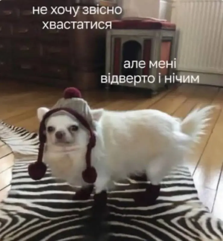 одеський гумор