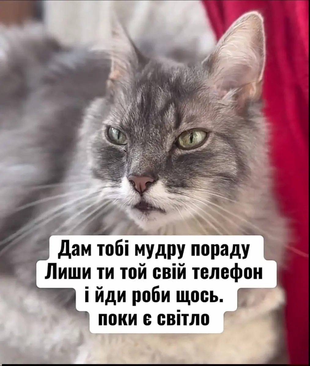 одеський гумор