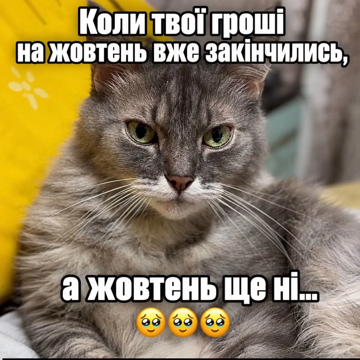 одеський гумор