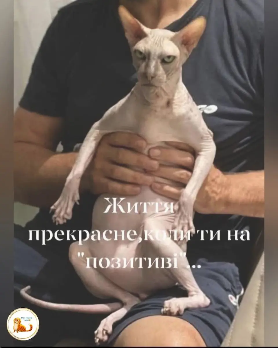 одеський гумор