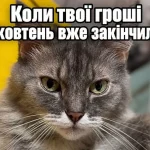 Курйоз у портовому місті: через магнітний шторм грошові виплати зникли з екранів моніторингу