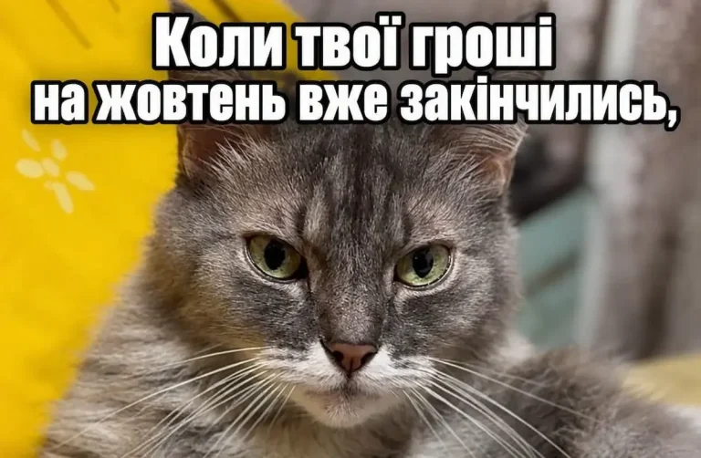 Курйоз у портовому місті: через магнітний шторм грошові виплати зникли з екранів моніторингу