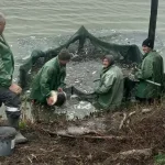 3 000 000 молодих особин і природні очисники: провідні водойми Одеської області очікують велике поповнення рибного фонду