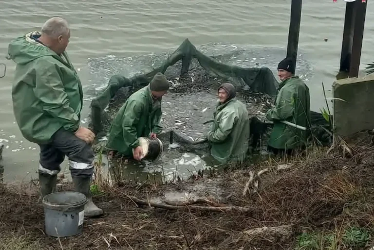 3 000 000 молодих особин і природні очисники: провідні водойми Одеської області очікують велике поповнення рибного фонду