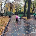 Одеса 24 жовтня — м’яко, але з опадами та імлою