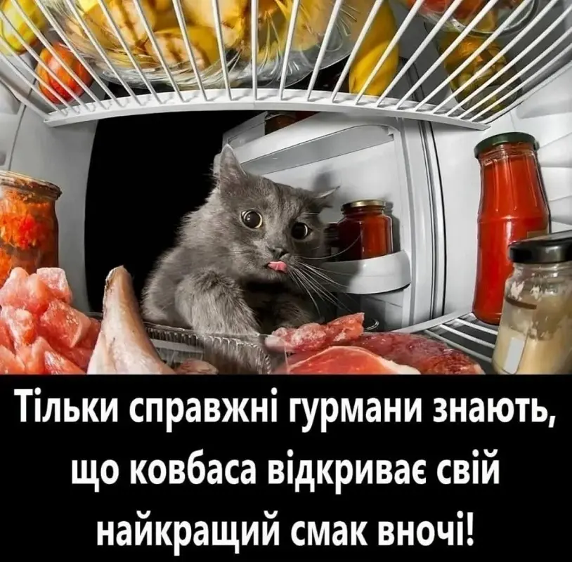Ночной гурман