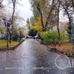Метеорологи попереджають: завтра в Одесі на трасах імла й мокрі опади, властиві осінній порі