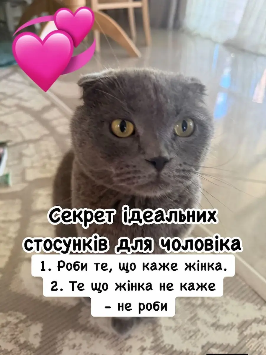 гумор