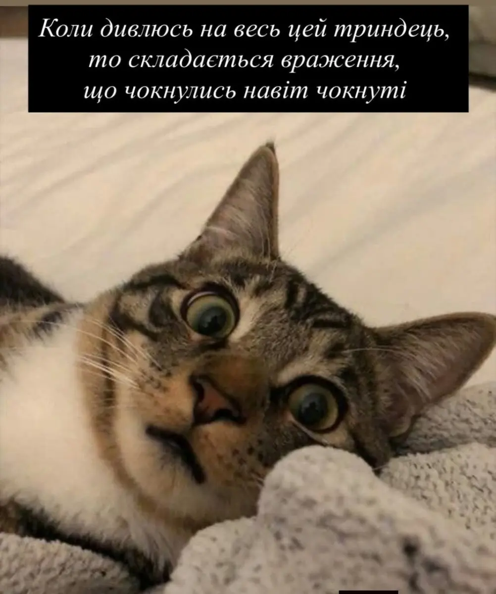 меми