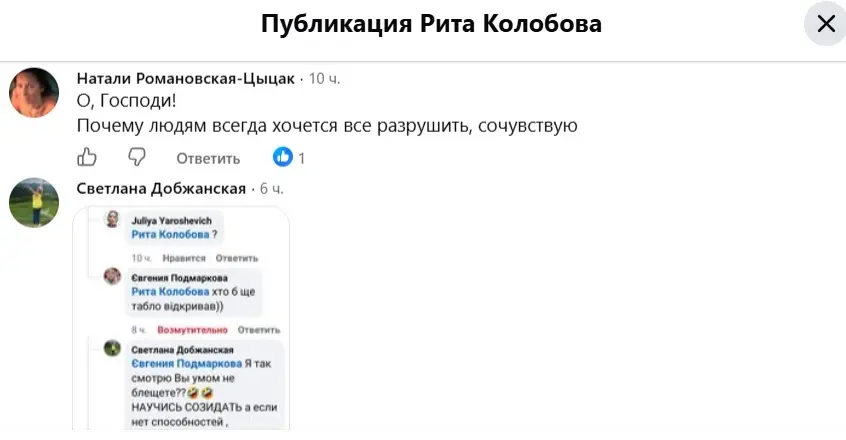 Коментарии под постом Риты Колобовой в фейсбуке