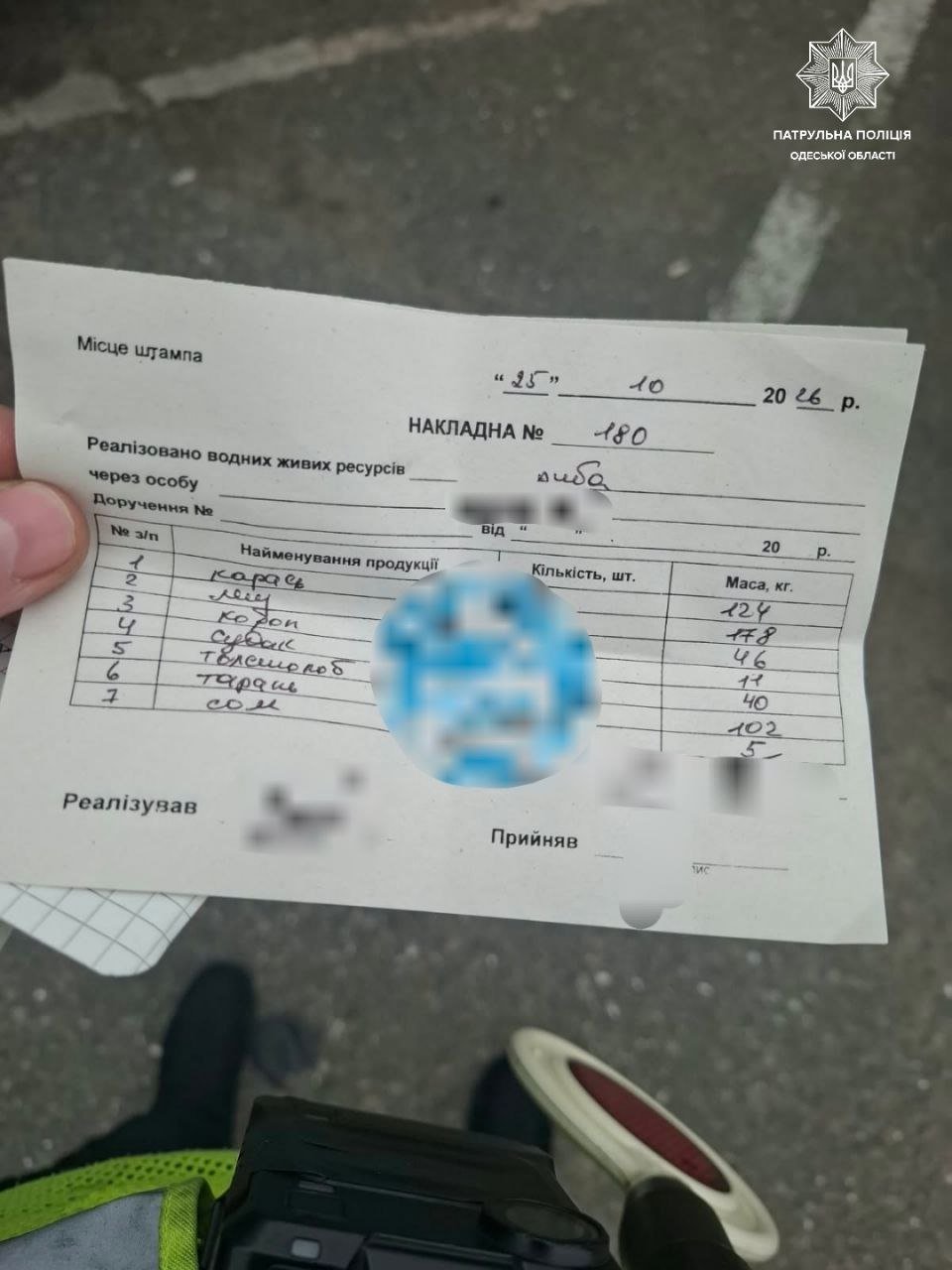 Риба у вантажному відділенні