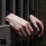 Афера з деревним паливом: засуджений із виправного закладу на Одещині ввів в оману мешканців чотирьох регіонів