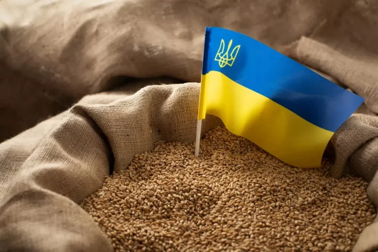 Аграрії з Молдови повідомляють про намір вийти на акції через завезення українського зерна