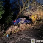 Двоє неповнолітніх постраждали від наїзду нетверезого кермувальника в Одеській області