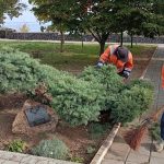 МЦ «Благоустрій» підсумовує виконані роботи за минулий тиждень