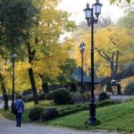 На 15 жовтня в Одесі та області очікують суху погоду й північний вітер