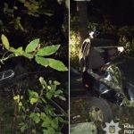На Одещині 20-річний водій без прав в'їхав у дерево: загинув 16-річний хлопець