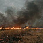 На Одещині попереджають про небезпеку спалювання стерні: штрафи до 153 тисяч гривень