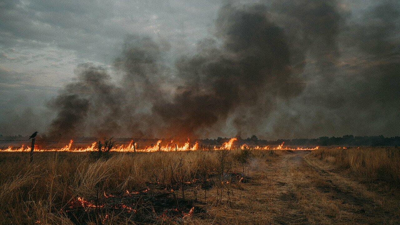 На Одещині попереджають про небезпеку спалювання стерні: штрафи до 153 тисяч гривень