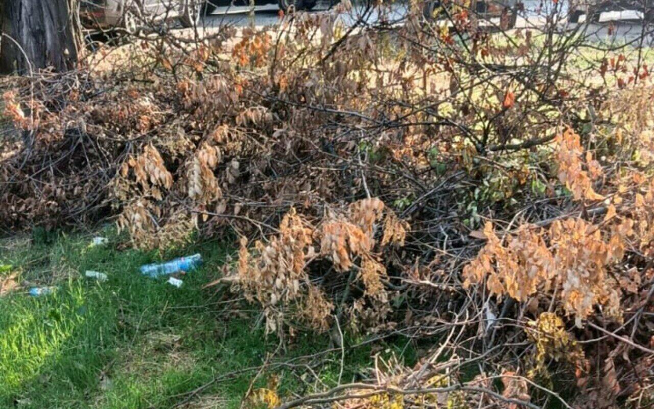 Одесити звинувачують «ЕкоЗагрозу» в забрудненні скверу