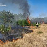 Пожежі на Одещині завдали природі збитків майже на 4 мільярди гривень
