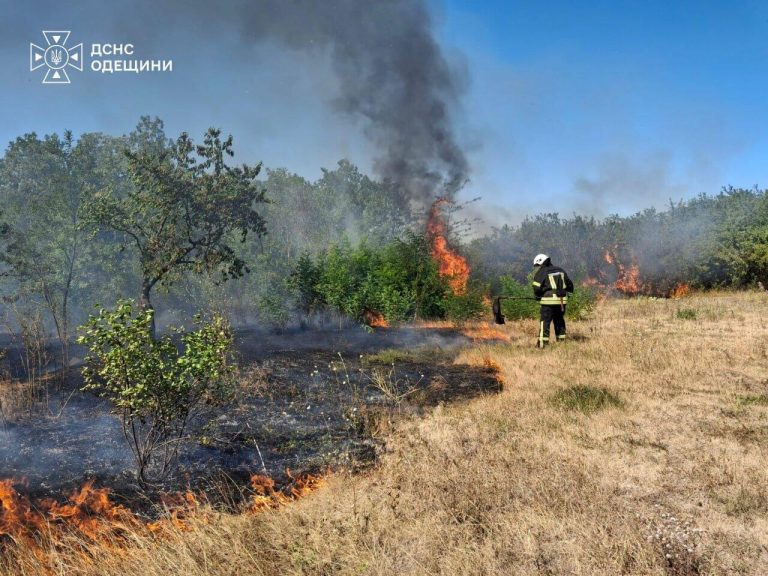 Пожежі на Одещині завдали природі збитків майже на 4 мільярди гривень
