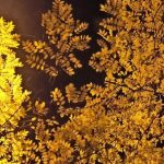 Прогноз погоди в Одесі на 1 листопада — яка температура очікується